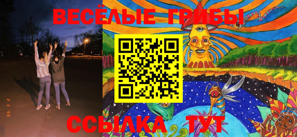 Гусиноозёрск  Галлюциногенные грибы MAGIC MUSHROOMS  Вход с VPN  Галлюциногенные грибы прущие грибы 